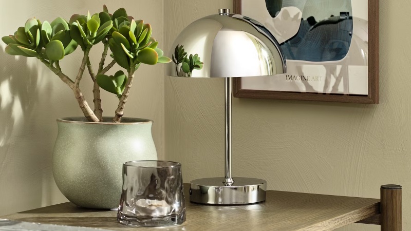 những c&acirc;y cảnh trong nh&agrave; dễ trồng gi&uacute;p thanh lọc kh&ocirc;ng kh&iacute;