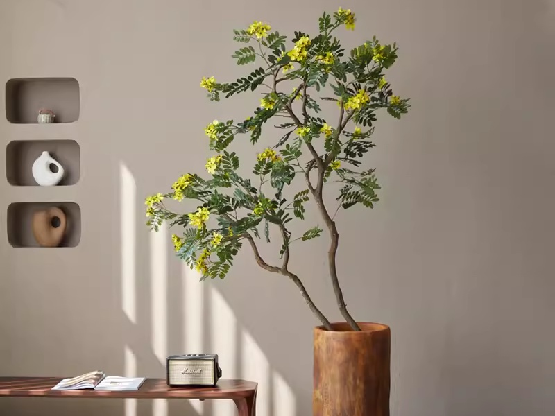những c&acirc;y cảnh trong nh&agrave; dễ trồng gi&uacute;p thanh lọc kh&ocirc;ng kh&iacute;