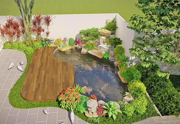 hồ c&aacute; koi mini