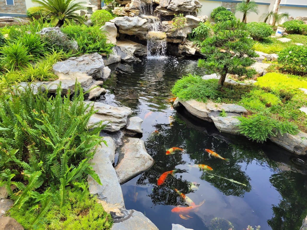 hồ non bộ th&aacute;c nước